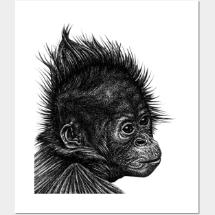 Baby orangutan monkey Posters and Art